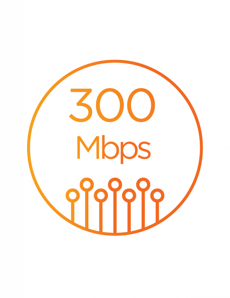 An icon that says 300 Mbps