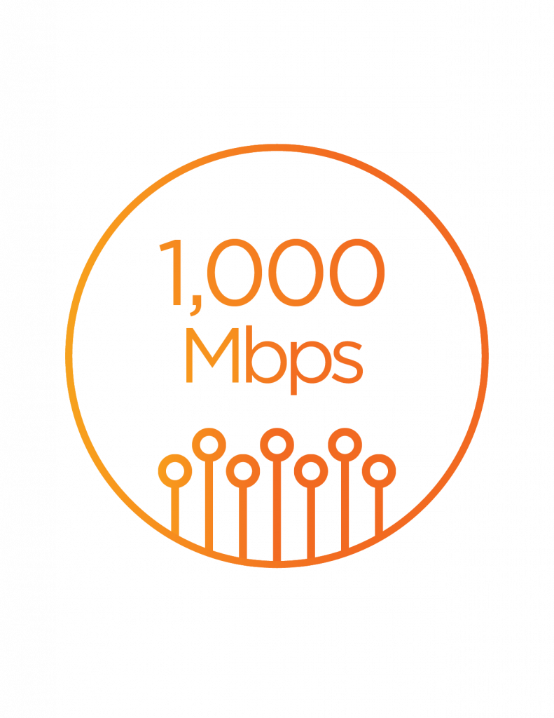 An icon that says 1,000 Mbps